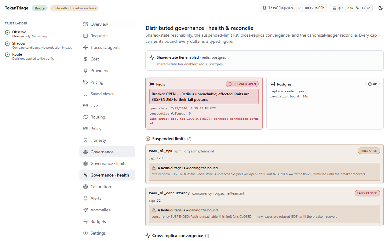 Distributed governance health: shared-state reachability, the suspended-limit list, and the widened convergence bound.